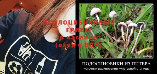 ПСИЛОЦИБИНОВЫЕ ГРИБЫ Нефтегорск