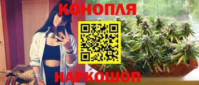 прущие крисы Гусиноозёрск