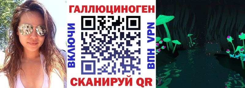 где можно купить наркотик Азов Галлюциногенные грибы Psilocybine cubensis