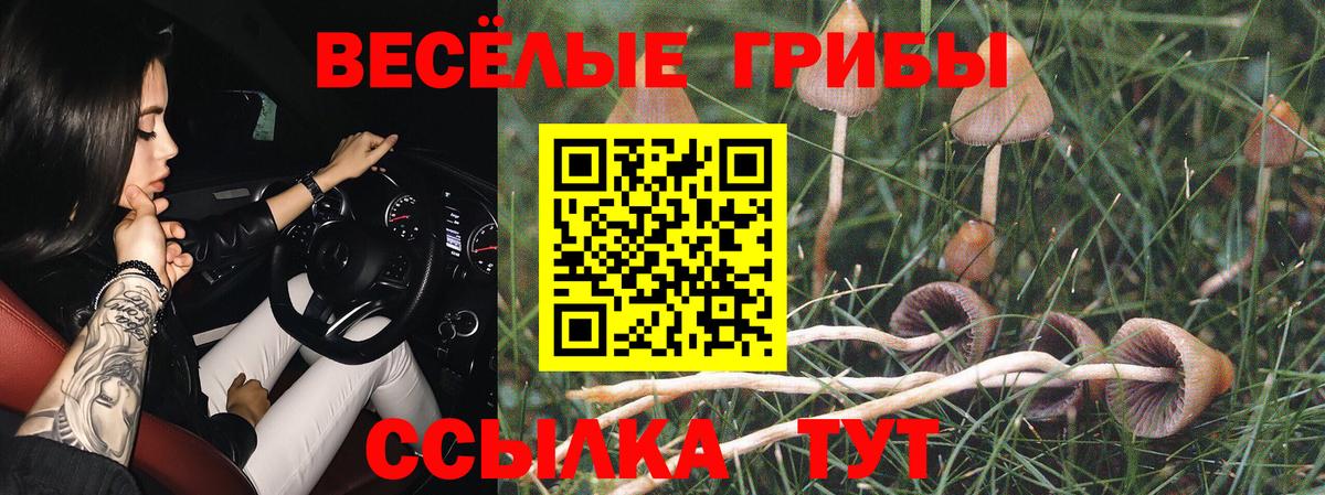 Галлюциногенные грибы Magic Shrooms  Азов 