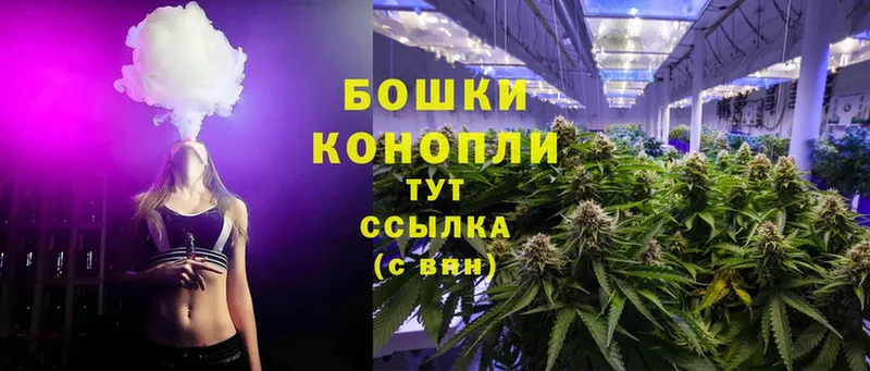 Конопля White Widow  хочу наркоту  Азов 